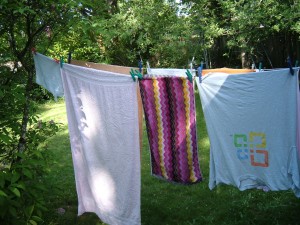 Backyard Clothesline in Spring