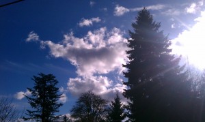 Clouds, Sun, Trees - Finnfemme