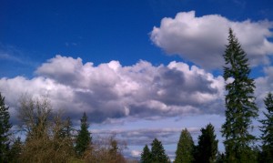 Clouds and Tree view - Finnfemme