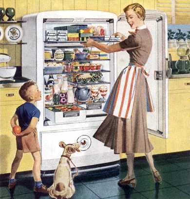 Musings from Marilyn » Refrigerator Madness!